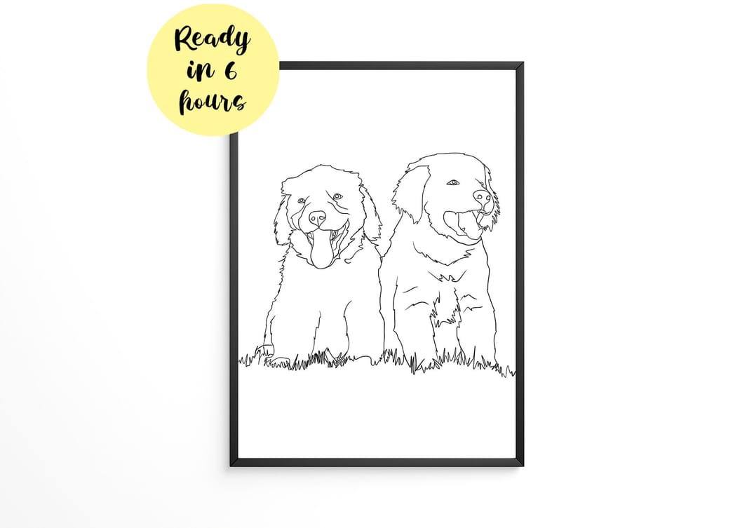 Image of: Best photo for a custom pet portrait: artist's guide